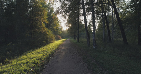 Obraz premium pov walk shot in wild park in september at sunset