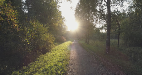 Obraz premium pov walk shot in wild park in september at sunset