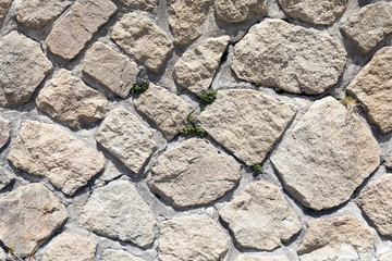 Stone and Mortar Wall Texture