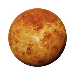 planet Venus isolated on white background