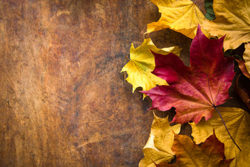 bright foliage maple season autumn wooden background.  retro rustic country style. flat lay top view dark wooden background