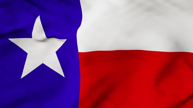 The Texas flag waving in the wind. The Lone Star flag flaps in the breeze, filling the whole frame. See portfolio for similar and much more!
