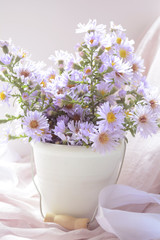 gift bouquet, of flowers of sedlabanki in the white pot on the windowsill garden