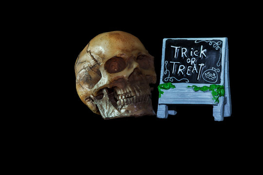 Halloween concept : Low key image of skull model and ceramic Trick or Treat sign isolated on black background