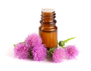 thistle oil and milk thistle flower isolated on white background