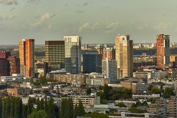 Fototapeta na wymiar Rotterdam panoramic view