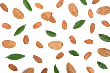 almonds with leaves isolated on white background. Flat lay pattern