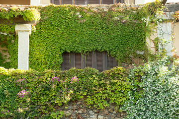 Colorful flowers lining a medieval stone wall