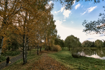 Naklejka premium the girl in the park goes on border of summer and fall
