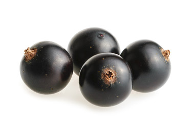 Black currant isolated on white background