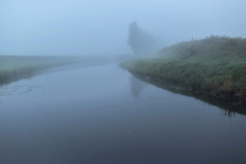 Stream with trees in mist on early morning.