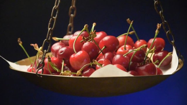 Prunus avium Cherry Cerise Cereza Kirsebær   frugt video Guinda Ciliegia Cerises rouges Ciliege 樱 Κεράσι 