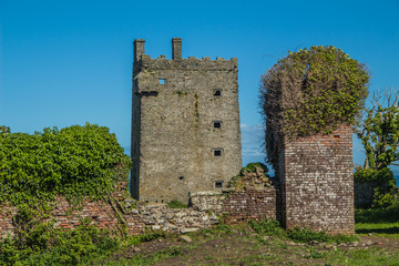 Fototapeta na wymiar Carrigaholt Castle