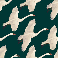 Fototapeta premium Vector illustration of Seamless pattern of drawing Flying Swans. Hand drawn, doodle graphic design with birds. Wrapping paper, wallpaper, backdrop.