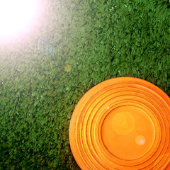 Flying target plate for shotgun sport is lying on the green grass. Copy space. Sun ray imitation