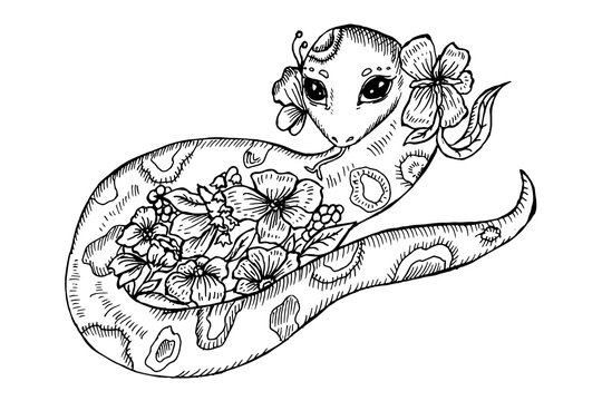 Hand drawn sketch for adult antistress coloring page - Snake.