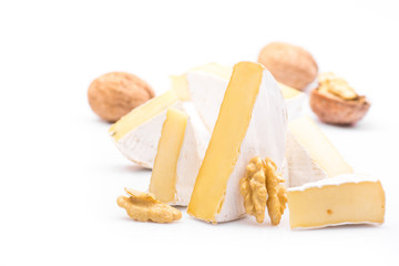 cheese with walnut isolated