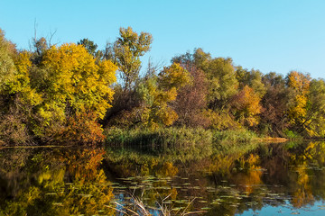 Golden autumn on riverside