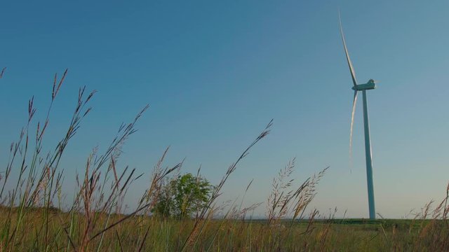 Wind Turbine Right with Sky. a steady shot of a wind turbine justified right in a field with wheat blowing in the foreground against a blue sky at daytime
