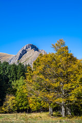 Valle Pesio, Cuneo, autunno