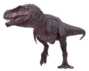 3D rendering of a Tyrannosaurus Rex walking.
