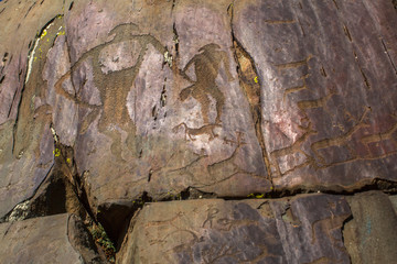 Petroglyphs of Altay. Ancient rock paintings in the Altai Mountains, Russia.