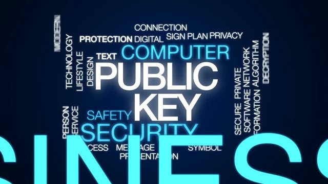 Public key animated word cloud, text design animation.