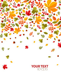 bright autumn background with leaves