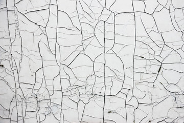 Old Cracked White Paint. Texture for background