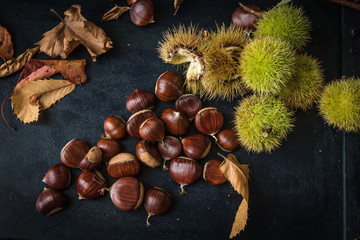 natura morta con castagne e ricci verdi; vista dall'alto