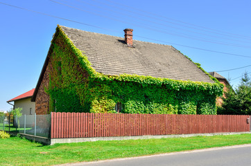 Creatively decorated old house. Old house in green leaf.