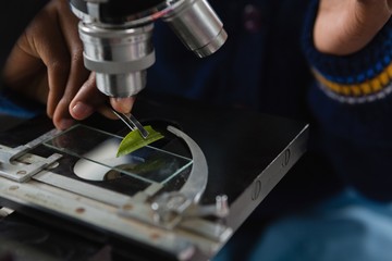 Schoolgirl experimenting with leaf