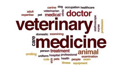 Veterinary medicine animated word cloud, text design animation.