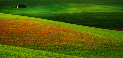 Obraz premium Rural landscape with green field and wooden hunting shack , South Moravia, Czech Republic