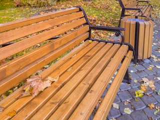 Autumn bench in the city with the fallen leaves.
