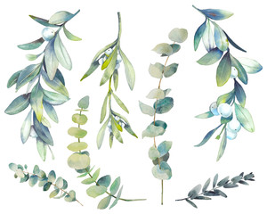Watercolor winter plants set. Hand drawn botanical elements isolated on white background. Branches with berries, eucalyptus, mistletoe for modern natural design