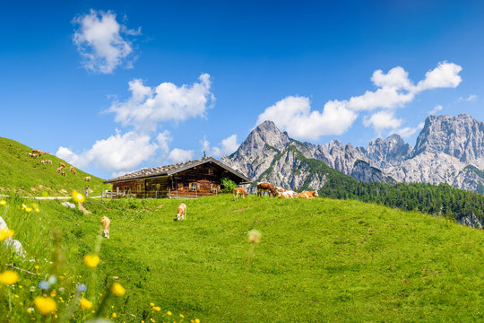 Idyllic alpine cottage in front of impressive mountain range, Litzlalm, Salzburger Land, Austria