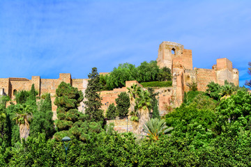 Fototapeta premium Walls of Alcazaba fortress in Malaga