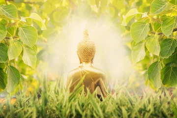 Papier Peint photo Lavable Bouddha Close up Back of Golden buddha image cover by Bodhi tree  leaft with sunlight
