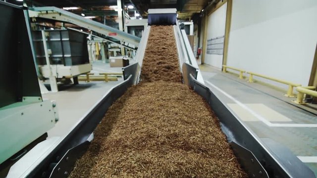 Tobacco drying process, cigarette manufacturing