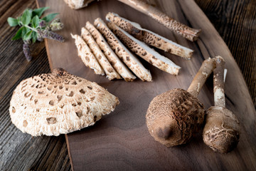 Macrolepiota procera is a very tasty edible mushroom