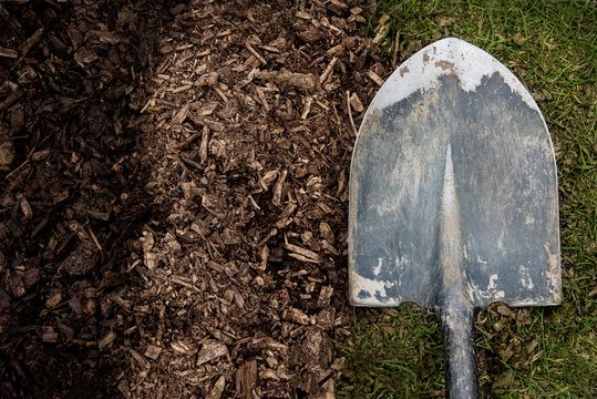 Worn shovel on a background of dirt and grass