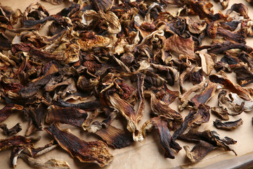 Dried and sliced edible mushrooms. Heap of natural dried sliced boletus mushrooms. Hand-picked in forest.