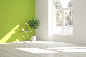 Inspiration of green empty room with flower. Scandinavian interior design. 3D illustration