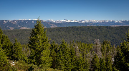 Idaho forest and snowy White Cloud mountains Idaho