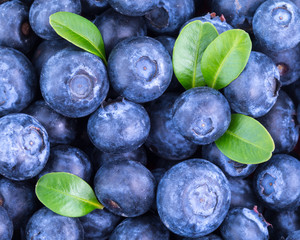Ripe Blueberry background