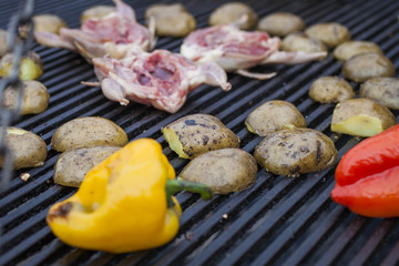 Grilling delicious poultry quails on barbecue