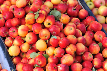 fresh crabapples