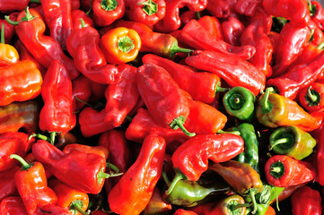fresh pepper selling at agriculture market