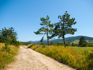 Dusty country road in landscape of Green Karst, Slovenia.